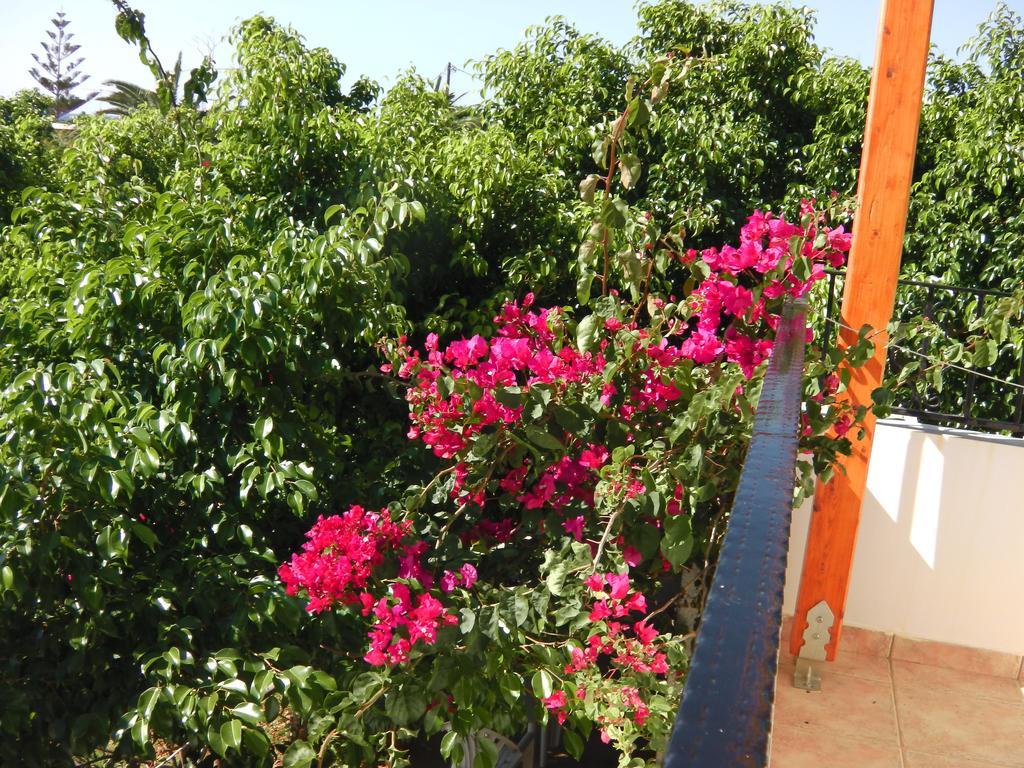 Serenity Hideaway Palaiochora Pokój zdjęcie