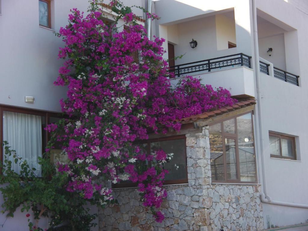 Serenity Hideaway Palaiochora Pokój zdjęcie